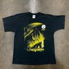 Vintage Style 90s Pittsburgh Steelers Pro Player Sweatshirt T-shirt, NFL Football Teams Gifts For Fans