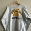 Vintage Style 90’s University Iowa Hawkeyes Sweatshirt T-shirt Ideal Gift for NFL Fans
