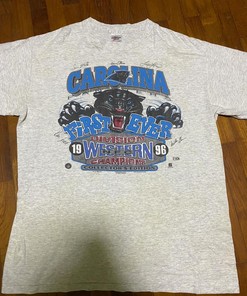 Vintage Style 96 Carolina Panthers Western Division Champions Sweatshirt T-shirt Ideal Gift for NFL Fans