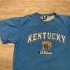Vintage Style Kentucky Wildcats Basketball Big Blue Nation Apparel T-Shirt, Sweatshirt Hoodie For Ncaa Fans