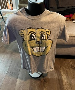 Vintage Style Minnesota University Gophers University American Sweatshirt Gifts For Ncaa