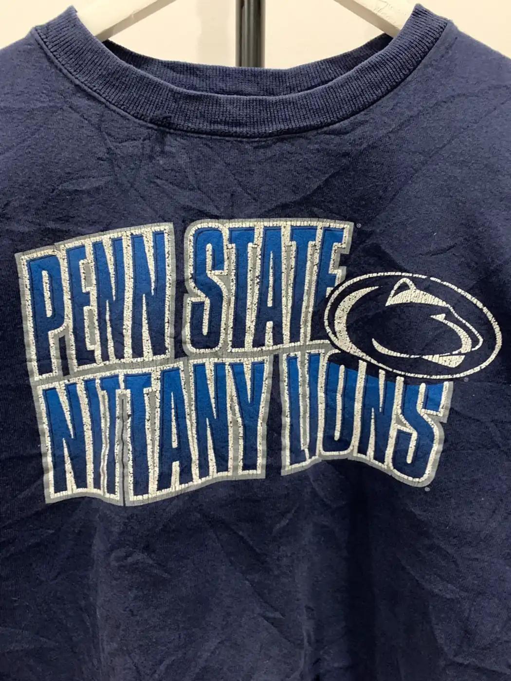 Vintage Style Penn State Nittany Lion Apparel T-Shirt, Sweatshirt Hoodie For Ncaa Fans - Image 2