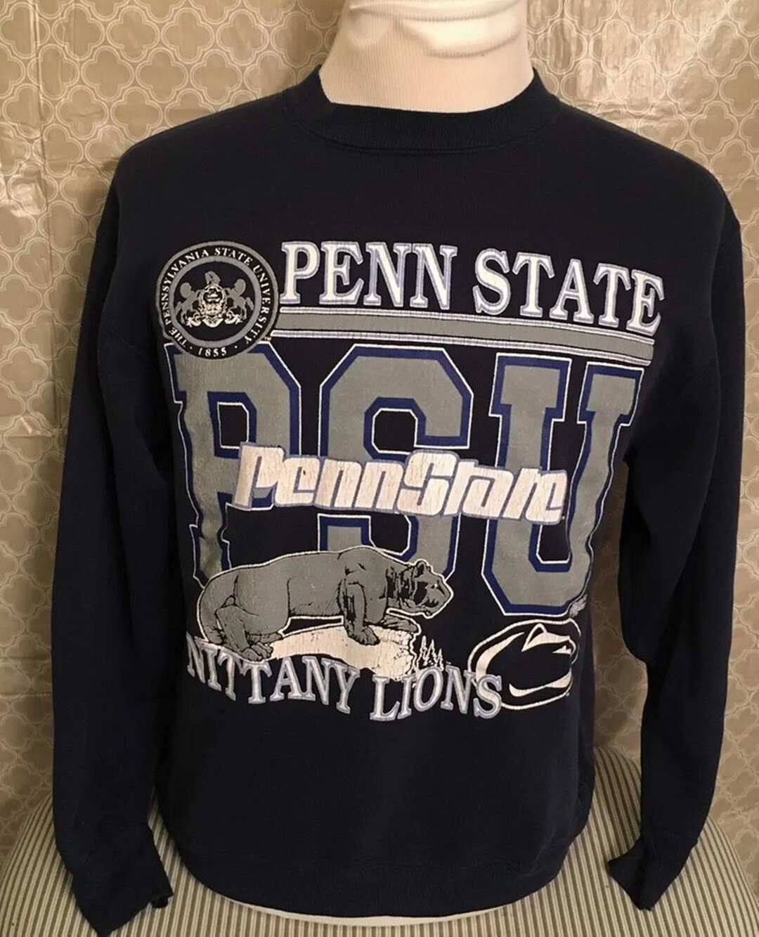 Vintage Style Penn State University Ninety Lions 1980S Sweatshirt, Penn State Sweater