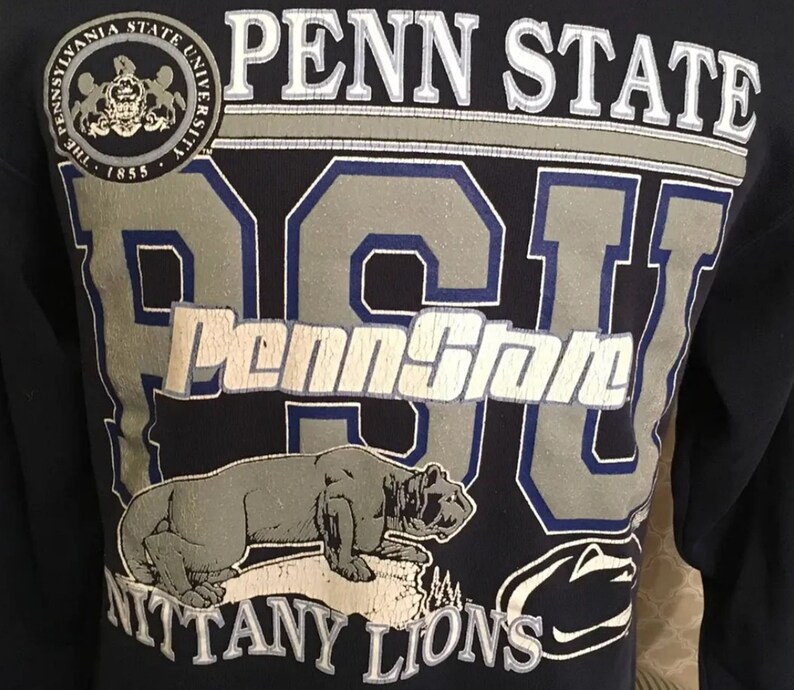 Vintage Style Penn State University Ninety Lions 1980S Sweatshirt, Penn State Sweater - Image 2