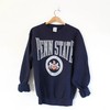 Vintage Style Penn State University Nittany Lions Sweatshirt, Hoodie