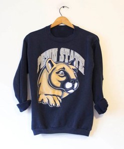 Vintage Style Penn State University Sweatshirt, Penn State Sweater Penn State Sweatshirt