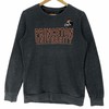 Vintage Style Princeton University Tigers T-Shirt Sweatshirt Hoodie Crewneck Pullover American Football Gifts Lover