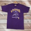 Vintage Style Pro Player Nfl Minnesota Vikings T-Shirt Printed Logo Graphic, Hoodie, Sweatshirt