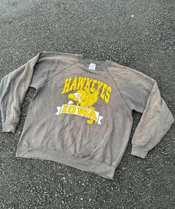 Vintage Style Sun Faded Hawk Eyes Sweatshirt T-shirt Ideal Gift for NFL Fans