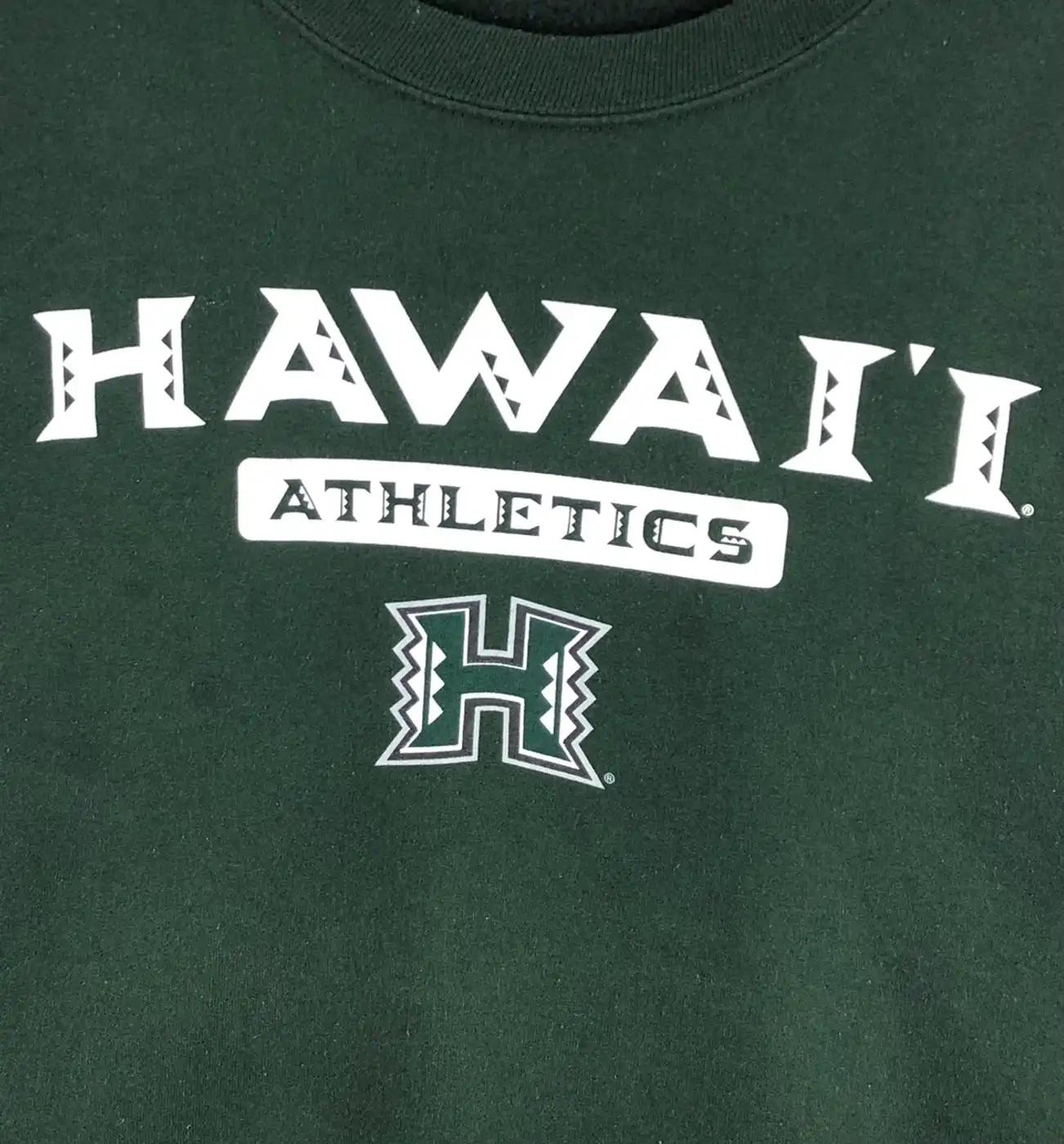 Vintage Style University Of Hawaii Rainbow Warriors T-Shirt Sweatshirt Hoodie American Football Gifts Lover - Image 2