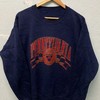 Vintage Style University Of Pennsylvania Sweatshirt, Pennsylvania University Sweater, Vintage Style 90S Shirt