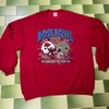 Vintage Style Wisconsin Badgers Sweatshirt - 1994 Rose Bowl Champs
