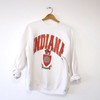 Vintage University Of Indiana Hoosiers Sweatshirt, Football Fan Shirt, University Football Fan Shirt