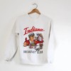 Vintage University Of Indiana Hoosiers Sweatshirt, Vintage 90S Shirt, Indiana University Sweater, Indiana Shirt