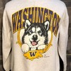 Vintage University Of Washington Huskies 1990S College Sweatshirt, Washington Huskies Sweater, Uw Huskies Hoodie