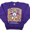 Vintage University Of Washington Huskies Rose Bowl 1993 Sweatshirt, Washington Huskies Shirt