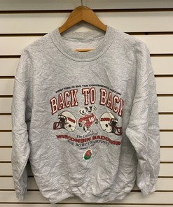 Vintage University of Wisconsin Shirt, Perfect Gift for NCAA Fans