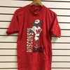 Vintage Wisconsin Badger State Pullover Sweatshirt - NCAA Football Fan Shirt