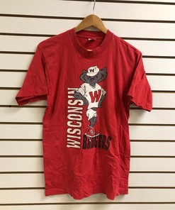 Vintage Wisconsin Badger State Pullover Sweatshirt - NCAA Football Fan Shirt