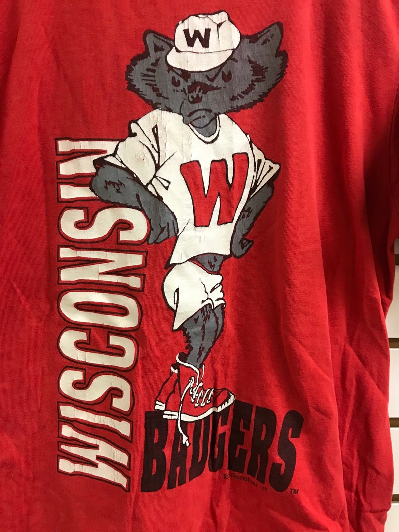 Vintage Wisconsin Badger State Pullover Sweatshirt - NCAA Football Fan Shirt - Image 2