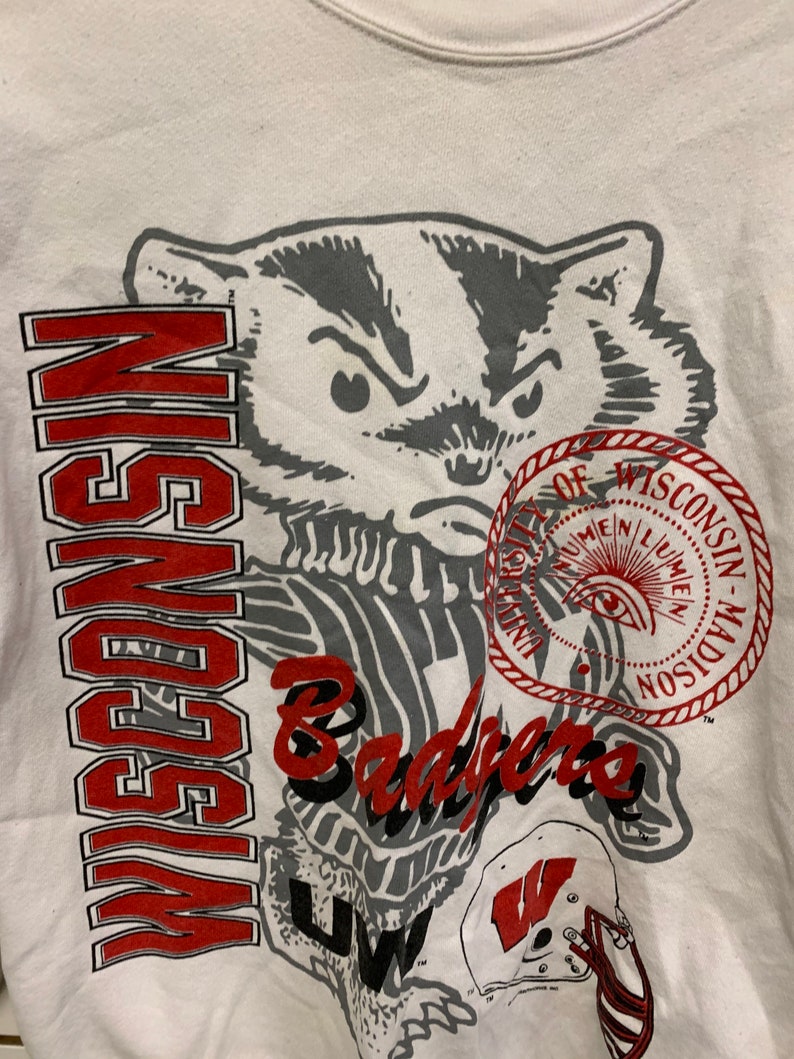 Vintage Wisconsin Badger State Pullover Sweatshirt - University Football Fan Apparel - Image 2