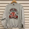 Vintage Wisconsin Badger State Pullover Sweatshirt - University Football NCAA Fan Gear