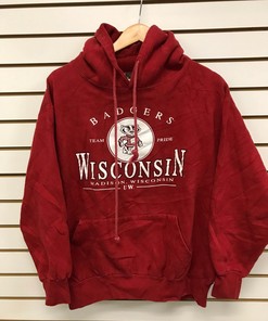 Vintage Wisconsin Badgers Team Pride Hoodie, Wisconsin Travel Gift, University Student Gift