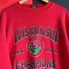 Vintage Wisconsin Rose Bowl Crewneck Shirt Hoodie, T-Shirt, Sweatshirt - Full Size Gifts For Fans