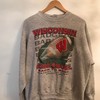 Vintage Wisconsin Rose Bowl Sweatshirt, Wisconsin Travel Gift, University Student Gift