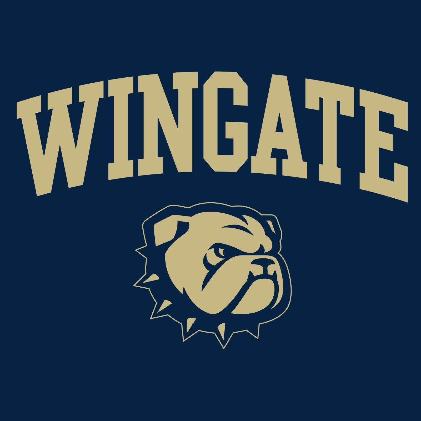 Wingate University Bulldogs Primary Logo College Team Youth Shirt Sweatshirt Pullover Hoodie Reprinted Gifts For Fans - Image 2