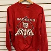 Wisconsin Badger State Pullover Sweatshirt - NCAA Football Fan Apparel - Great Gifts