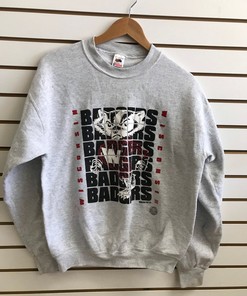 Wisconsin Badger State Pullover Sweatshirt - NCAA Football Fan Gear - Vintage Design