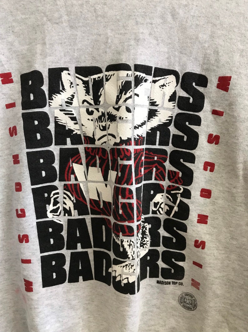 Wisconsin Badger State Pullover Sweatshirt - NCAA Football Fan Gear - Vintage Design - Image 2