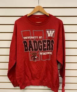 Wisconsin Badger State Pullover Sweatshirt - University Football Fan Apparel