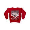Wisconsin Badgers "Bucky" Sweatshirt from 1992, Perfect Gift for NCAA Fans