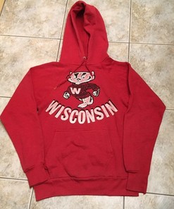 Wisconsin Badgers Vintage Hoodie from the 1980s, Perfect Gift for NCAA Fans