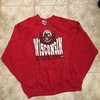 Wisconsin Badgers Vintage Style 1990s Rose Bowl Sweatshirt Bundle, Perfect for NCAA Fans