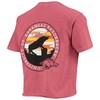 Wocardinal Arkansas Razorbacks Circle Scene Comfort Colors Shirt, Hogs Shirt Gifts For Razorbacks Lover