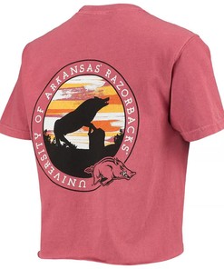 Wocardinal Arkansas Razorbacks Circle Scene Comfort Colors Shirt, Hogs Shirt Gifts For Razorbacks Lover