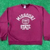Y2K Missouri State Bears University American Sweatshirt Gifts For Ncaa