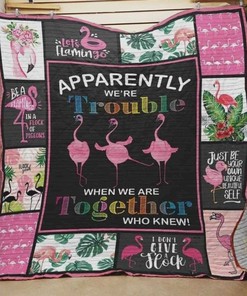 Apparently We Are Trouble When We Are Together Who Knew Flamingo Quilt Bedding Set