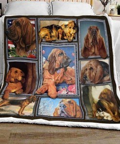 Bloodhound Dog Lovers Premium Comfy Sofa Throw Blanket with Quilt Bedding Set
