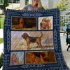 Bloodhound Pattern Quilt Bedding Set for Dog Lovers