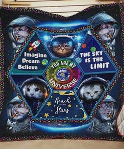 Cat Astronauts The Sky Is The Limit Quilt Bedding Set for Boys