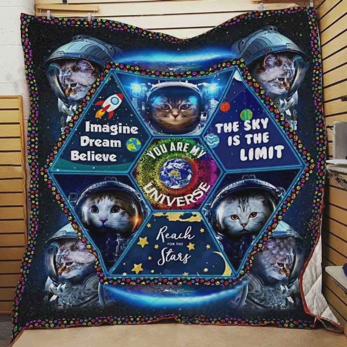 Cat Astronauts The Sky Is The Limit Quilt Bedding Set for Boys