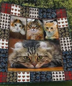 Cute American Curl Cat Quilt Blanket - The Perfect Gift for Any Cat-Loving Child