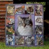 Cutest Domestic Shorthair Cat Cat Lo Quilt Blanket - Adorable Quilt Bedding Set for Domestic Shorthair Cat Lovers