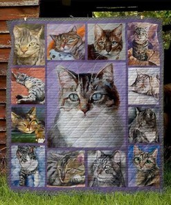 Cutest Domestic Shorthair Cat Cat Lo Quilt Blanket - Adorable Quilt Bedding Set for Domestic Shorthair Cat Lovers