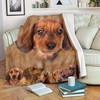 Dachshund Dog Lover Premium Comfy Sofa Throw Blanket - Perfect Gift for Dog Lovers