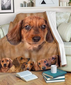 Dachshund Dog Lover Premium Comfy Sofa Throw Blanket - Perfect Gift for Dog Lovers